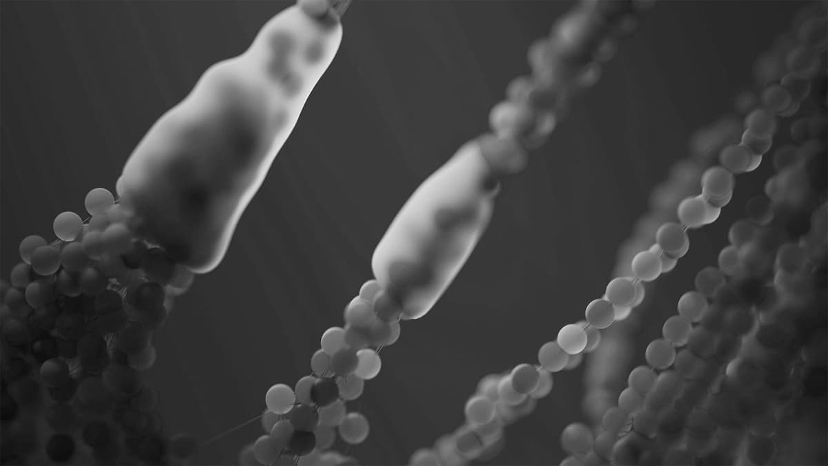 polynucleotides-dubai